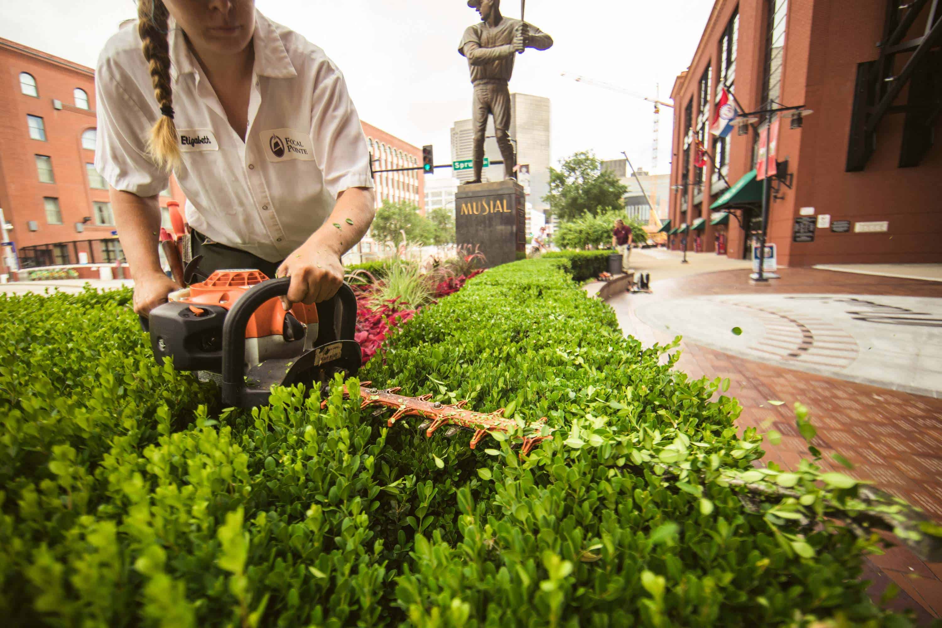 St. Louis Busch Stadium Landscaping Hedge Trimming