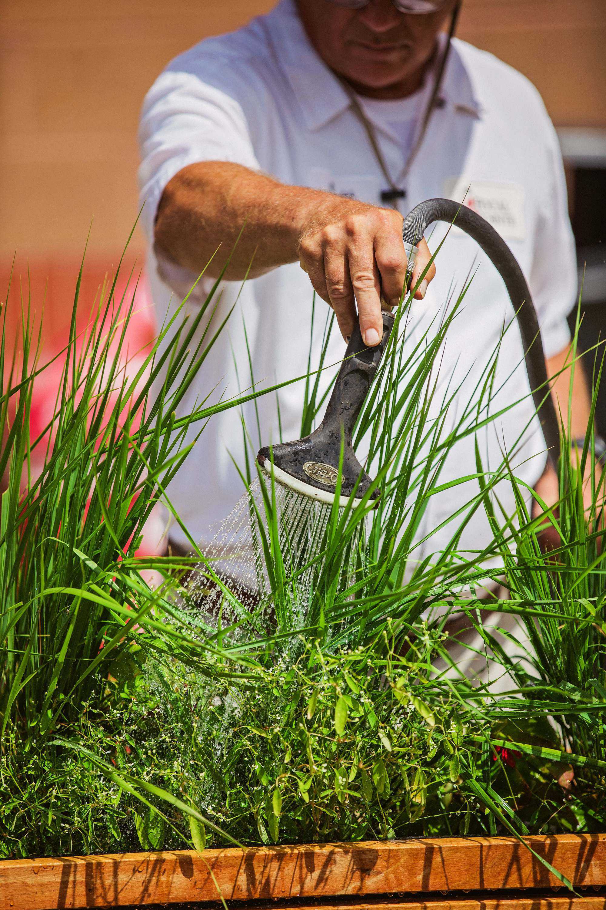 St. Louis Busch Stadium Landscaper watering plants