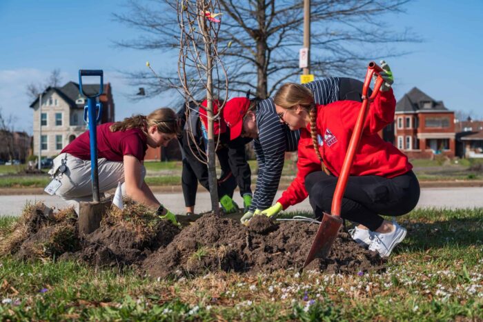Focal Pointe's Brianna planting one of 38 trees with volunteers from the Cardinals.